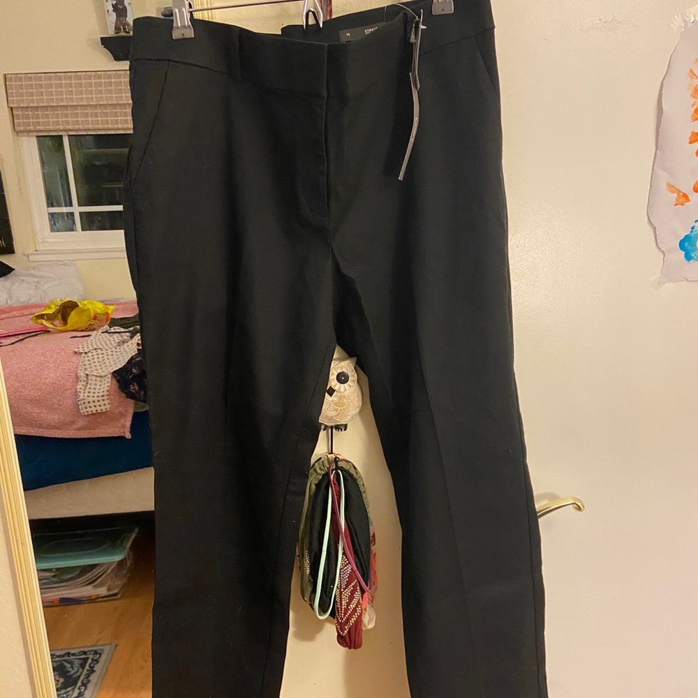 Brand New Pants